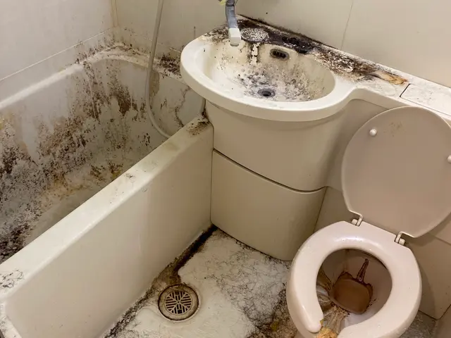 豊富な経験と知識で安心！仕上がり重視で丁寧に施工いたします！サービスの画像