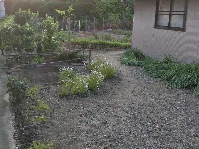 【手引き除草】根っこから除去いたします！除草剤、草刈り機が使えない場所に！サービスの画像