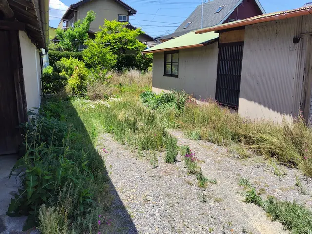 【手引き除草】根っこから除去いたします！除草剤、草刈り機が使えない場所に！サービスの画像