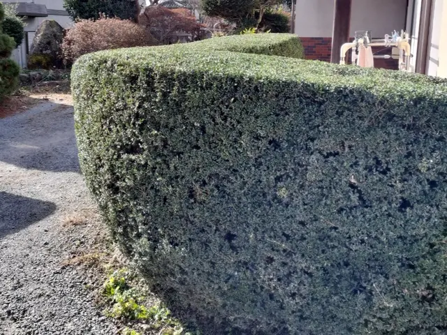 ◆年中無休◎自社の職人が迅速丁寧に仕上げます◎損害保険加入店サービスの画像