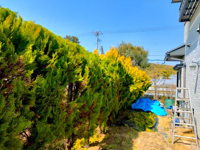 ◆年中無休◎自社の職人が迅速丁寧に仕上げます◎損害保険加入店サービスの画像