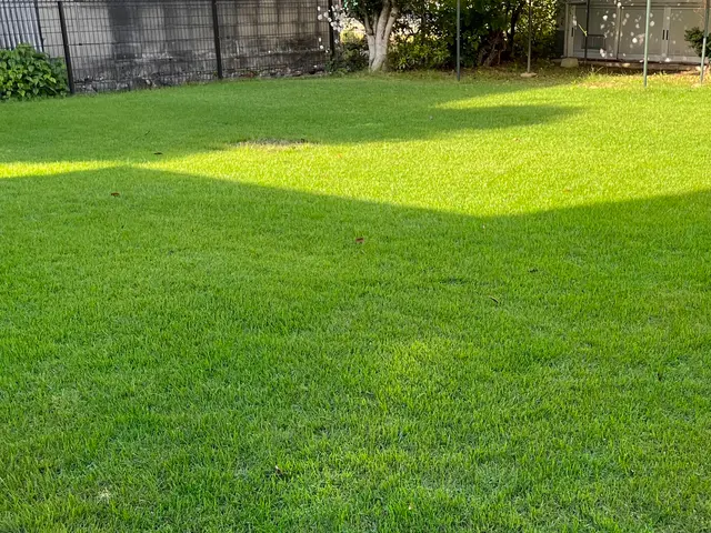 芝生の除草剤散布、その他薬剤散布。芝生の品質向上管理サービスの画像