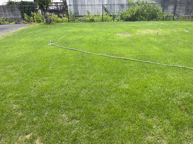 芝生の除草剤散布、その他薬剤散布。芝生の品質向上管理サービスの画像