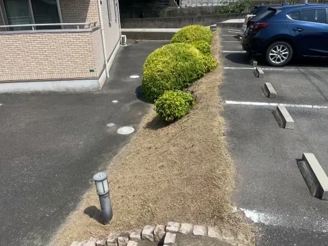 安心法人！！草刈りシーズンお任せください！サービスの画像