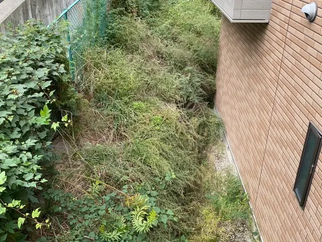 女性スタッフ同行可能！作業外注一切なし◎親切・丁寧に対応いたします。サービスの画像