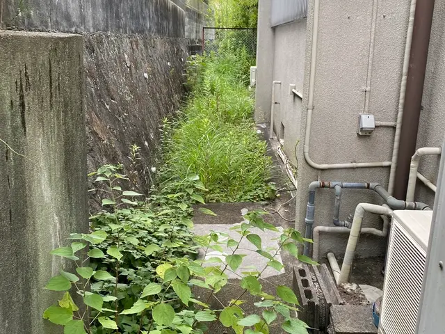 女性スタッフ同行可能！作業外注一切なし◎親切・丁寧に対応いたします。サービスの画像