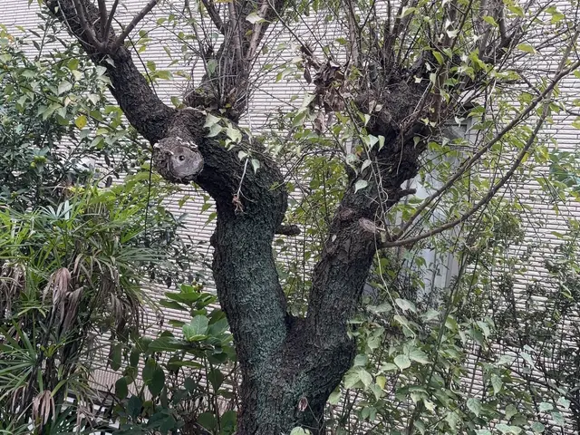 ご要望を伺って手掛けるお庭リニューアル！理想の庭をきめ細かくヒアリングして実現へサービスの画像