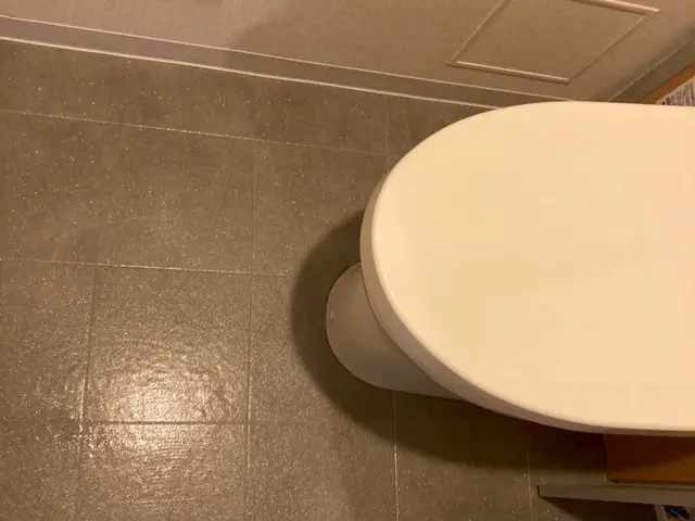 クッションフロア貼り増し作業（張り替えは別ページ）業歴30年で安心の施工サービスの画像