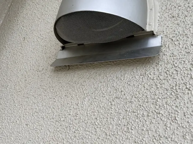 【即日対応可能】すべて自社対応◎まずはご相談からどうぞ！コウモリ駆除はお任せあれサービスの画像