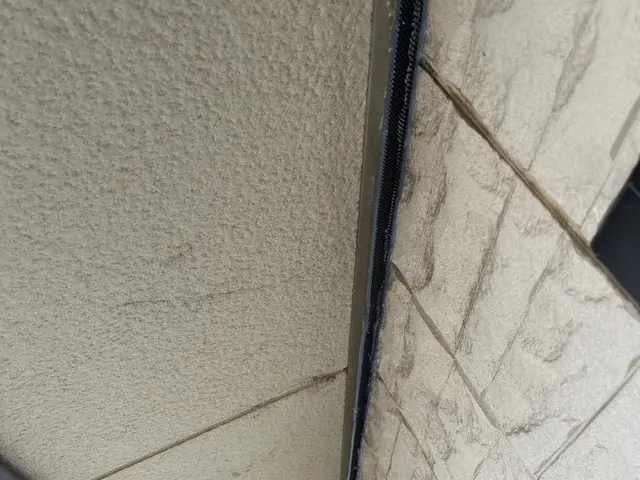 【即日対応可能】すべて自社対応◎まずはご相談からどうぞ！コウモリ駆除はお任せあれサービスの画像