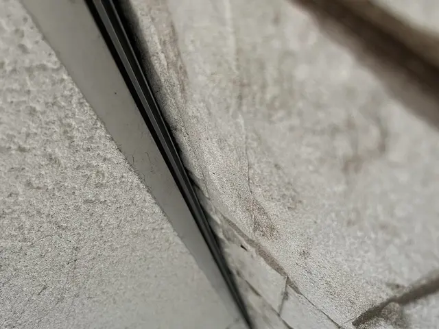 【即日対応可能】すべて自社対応◎まずはご相談からどうぞ！コウモリ駆除はお任せあれサービスの画像