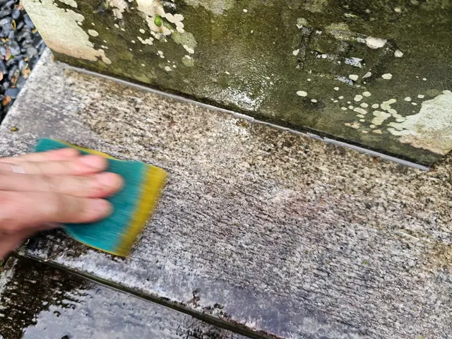 【くらしのマーケットアワード口コミ満足度賞受賞】3年連続ノミネートサービスの画像