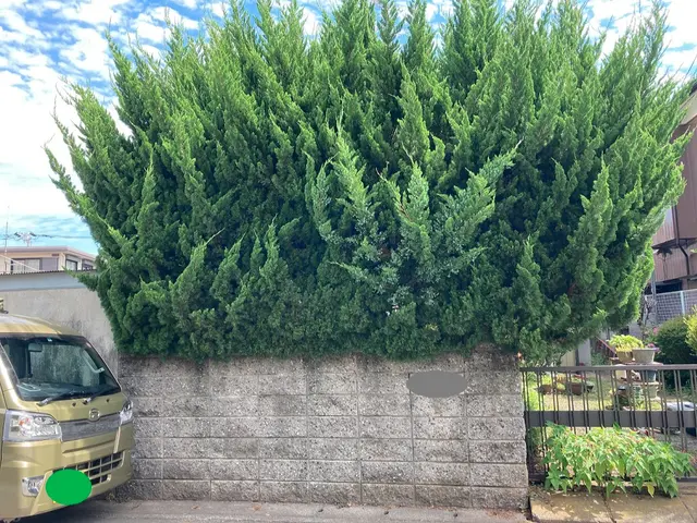 ★町田市発★ 相模原・町田エリアの剪定作業【お写真での見積りも可！】サービスの画像