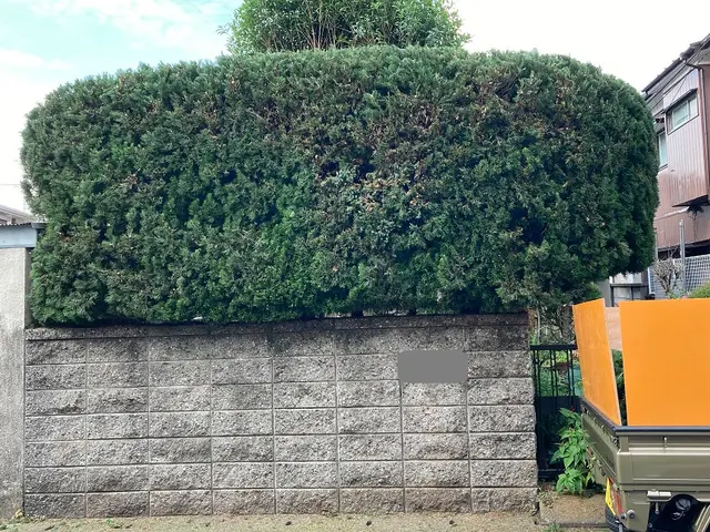 ★町田市発★ 相模原・町田エリアの剪定作業【お写真での見積りも可！】サービスの画像