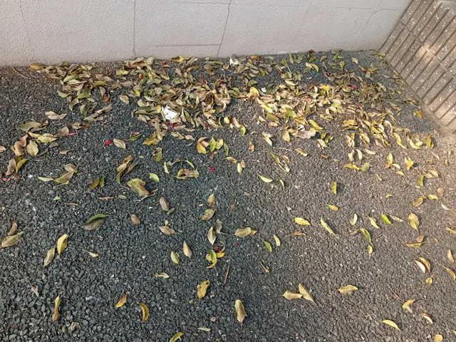 ハウスクリーニング士認定の自社スタッフが丁寧な清掃で長期信頼関係を築きますサービスの画像