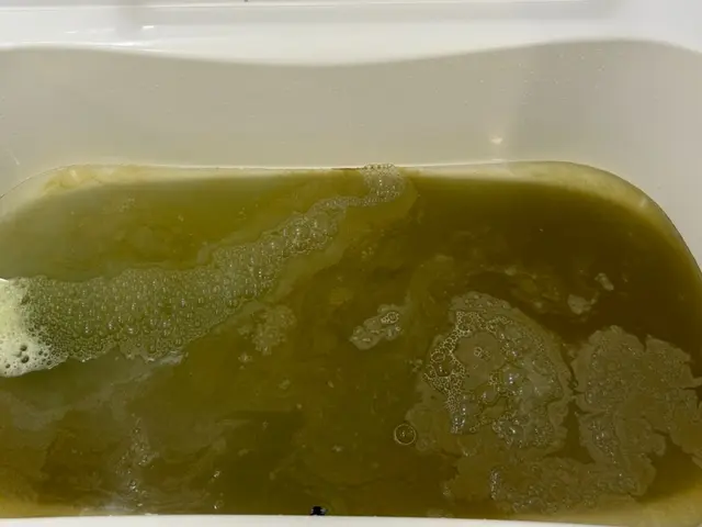 ☆国家資格ハウスクリーニング技能士対応☆【驚きの洗浄力】風呂釜内部の汚れ徹底除去サービスの画像