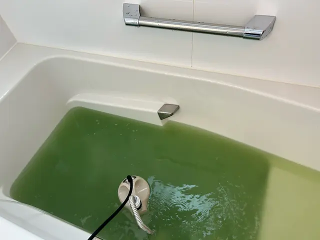 ☆国家資格ハウスクリーニング技能士対応☆【驚きの洗浄力】風呂釜内部の汚れ徹底除去サービスの画像