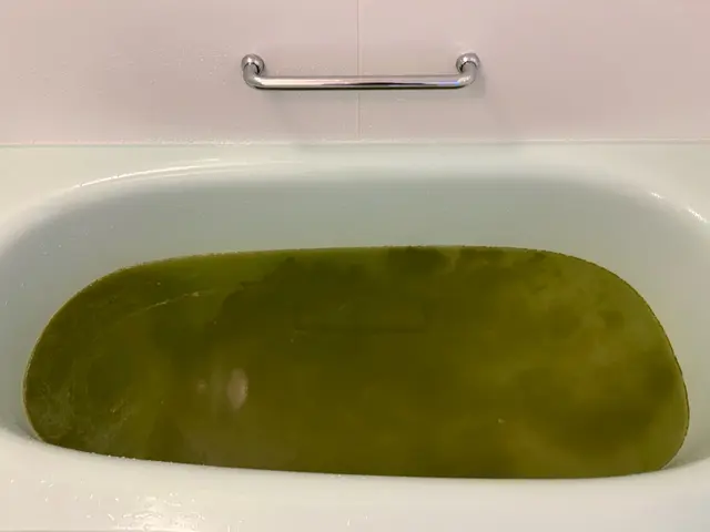 ☆国家資格ハウスクリーニング技能士対応☆【驚きの洗浄力】風呂釜内部の汚れ徹底除去サービスの画像