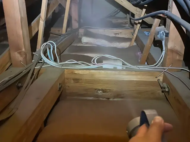 有資格者(国家資格)による駆除！「小蝿駆除プロ・迅速対応！清潔環境サポート」サービスの画像