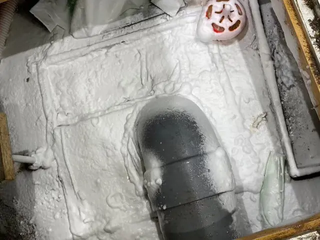 有資格者(国家資格)による駆除！「小蝿駆除プロ・迅速対応！清潔環境サポート」サービスの画像