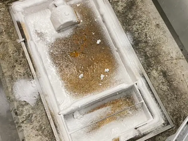 有資格者(国家資格)による駆除！「小蝿駆除プロ・迅速対応！清潔環境サポート」サービスの画像