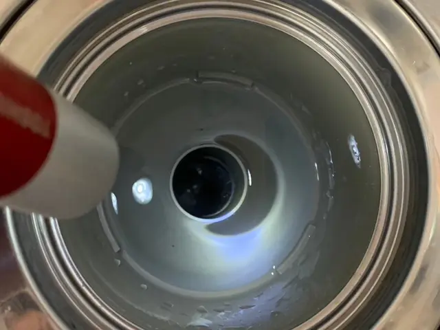 有資格者(国家資格)による駆除！「小蝿駆除プロ・迅速対応！清潔環境サポート」サービスの画像