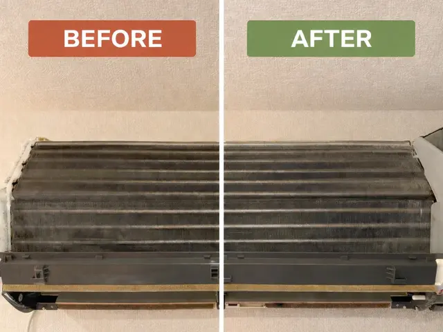 高圧洗浄でカビ撃退！壁掛けエアコン内部まで丸洗いサービスの画像