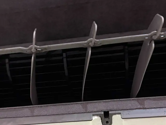 犬好きのスタッフが伺います！わんちゃんや小さなお子さんでもご安心ください！サービスの画像