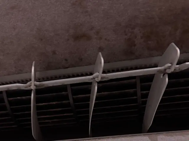 犬好きのスタッフが伺います！わんちゃんや小さなお子さんでもご安心ください！サービスの画像