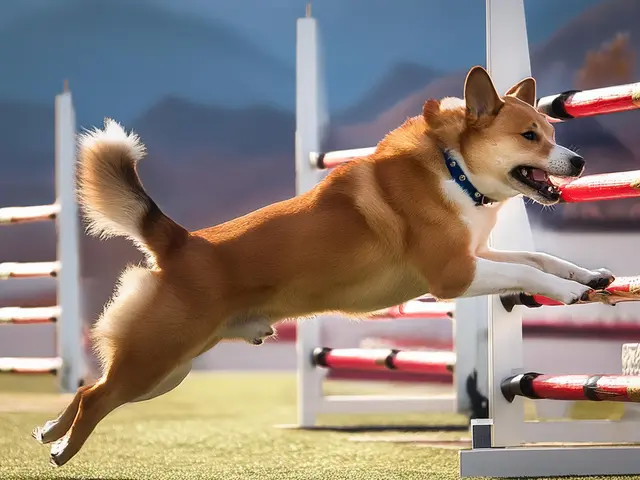 愛するペットの最高の瞬間を!　ワンちゃん、ネコちゃんとの絆を撮影させて頂きます。