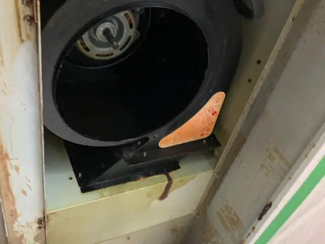 寒くなる前に、綺麗にしませんか？年末より今でしょう！サービスの画像