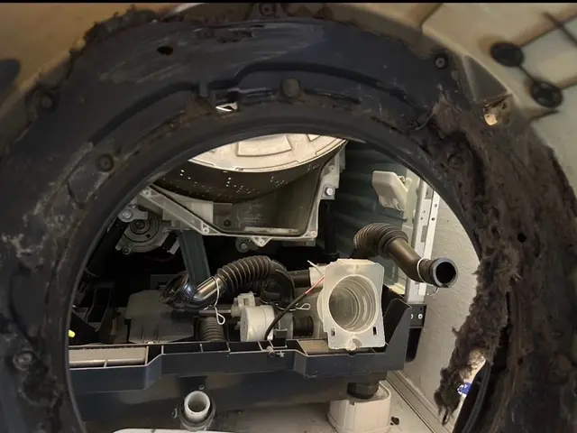 プロの技で復活！カビ、ホコリを完全分解洗浄！ニオイ、乾燥不具合の原因を除去しますサービスの画像