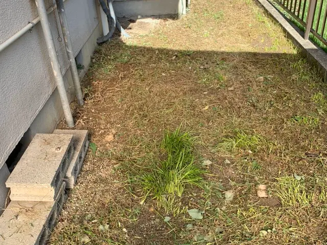 ★8月17日以降予約空き有り★キャッシュレス決済対応★簡単な剪定作業や木の伐採しサービスの画像