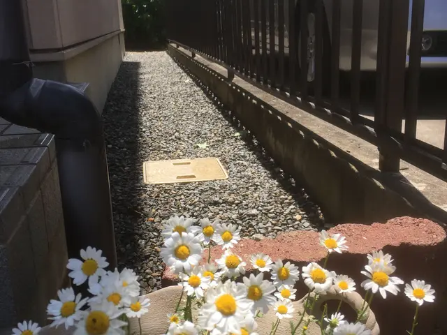 ★8月17日以降予約空き有り★キャッシュレス決済対応★簡単な剪定作業や木の伐採しサービスの画像