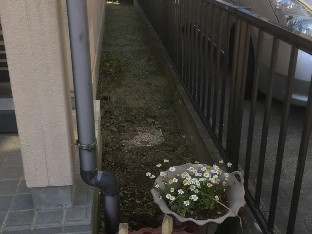 ★8月17日以降予約空き有り★キャッシュレス決済対応★簡単な剪定作業や木の伐採しサービスの画像