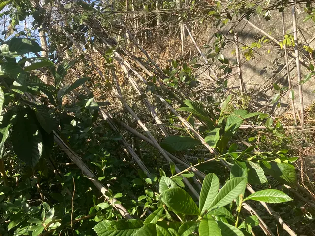 ◆営業時間外も対応OK◎業歴5年◎アフターフォローもばっちり対応します！サービスの画像