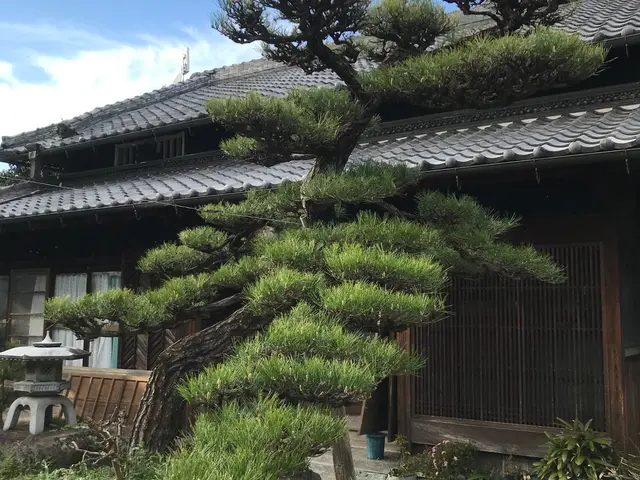 ◆職人歴15年◆一級造園施工管理者　技能経験あり◆駐車代お店負担◆親切丁寧！サービスの画像
