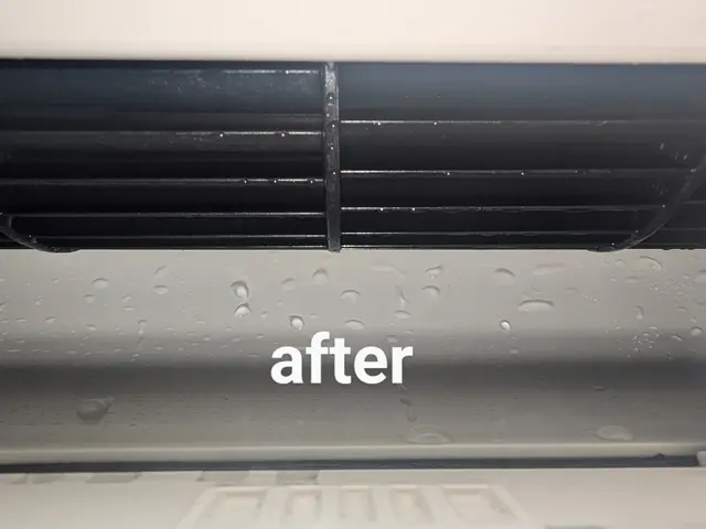 非喫煙者〇子供、ペットに優しい天然エコ洗剤と防臭抗菌コートが無料〇複数割サービスの画像