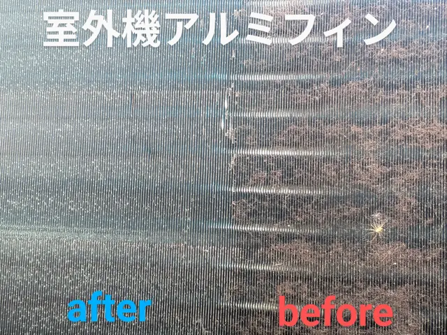 非喫煙者〇子供、ペットに優しい天然エコ洗剤と防臭抗菌コートが無料〇複数割サービスの画像