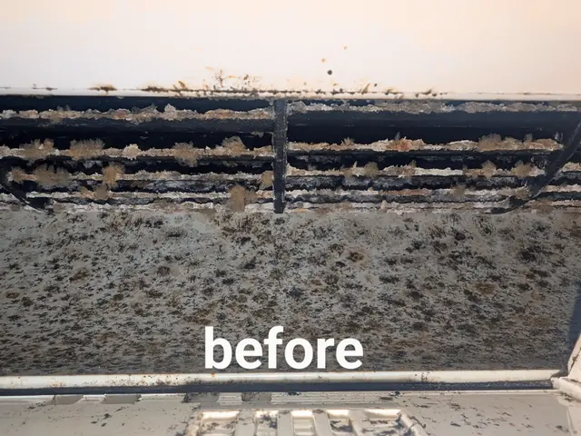 非喫煙者〇子供、ペットに優しい天然エコ洗剤と防臭抗菌コートが無料〇複数割サービスの画像