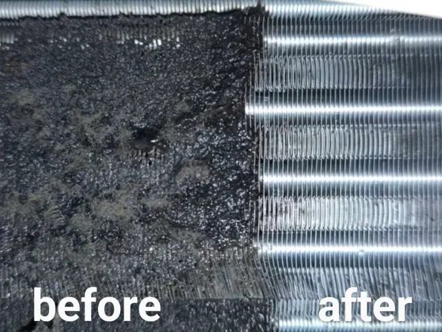 非喫煙者〇子供、ペットに優しい天然エコ洗剤と防臭抗菌コートが無料〇複数割サービスの画像