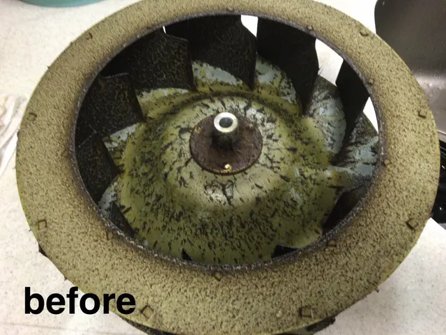 女性スタッフのみ在籍★一人暮らしの女性も安心の《Nico Clean》です！サービスの画像