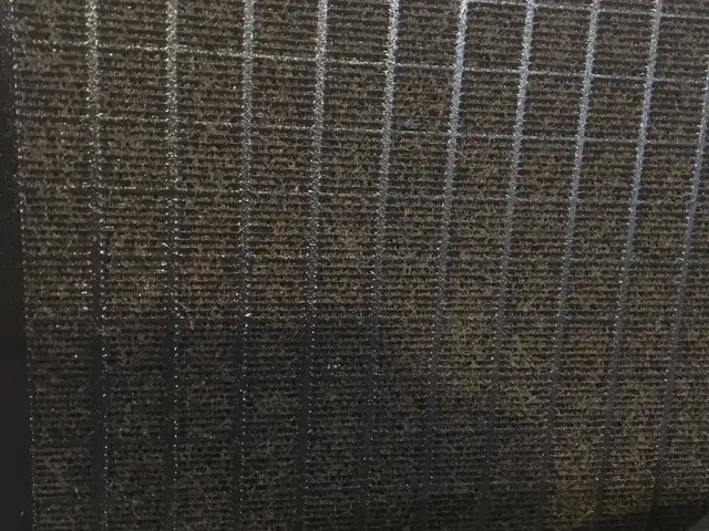 女性スタッフのみ在籍★一人暮らしの女性も安心の《Nico Clean》です！サービスの画像