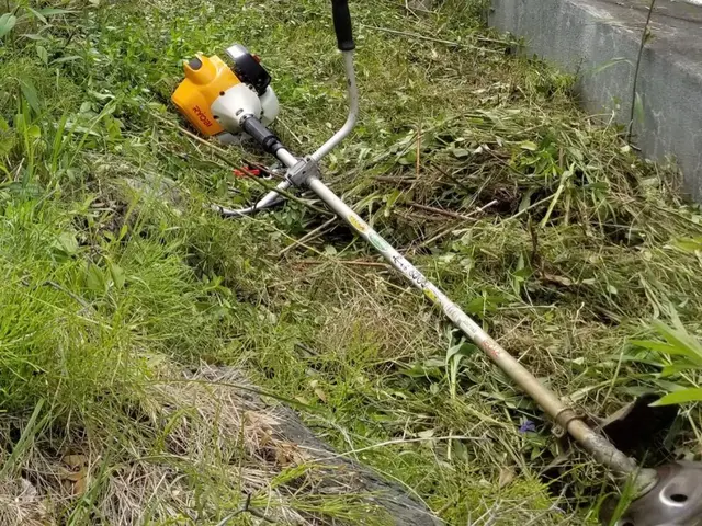 【あなたのお庭をスッキリ綺麗に！】即日対応させていただきます！サービスの画像