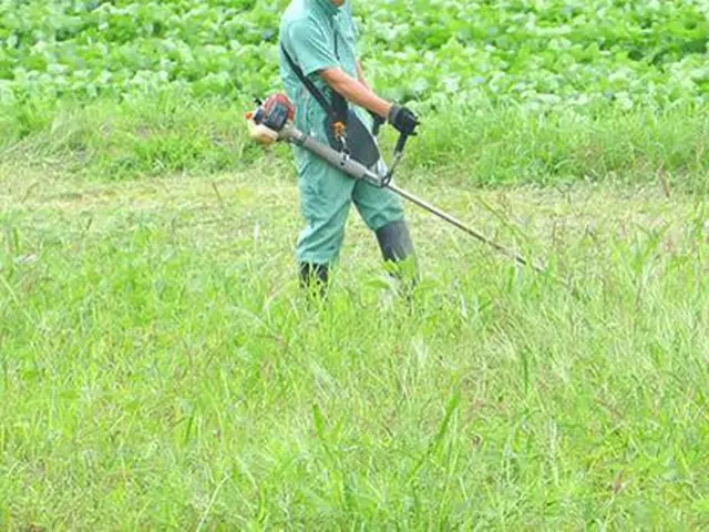 【あなたのお庭をスッキリ綺麗に！】即日対応させていただきます！サービスの画像