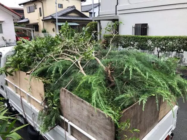 【あなたのお庭をスッキリ綺麗に！】即日対応させていただきます！サービスの画像