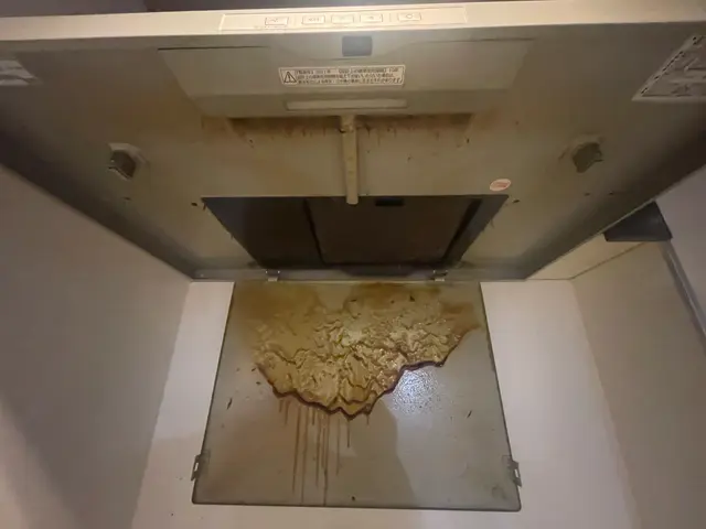 油まみれのレンジフードをプロの技術でスッキリ！丁寧に素早く作業させて頂きます！サービスの画像