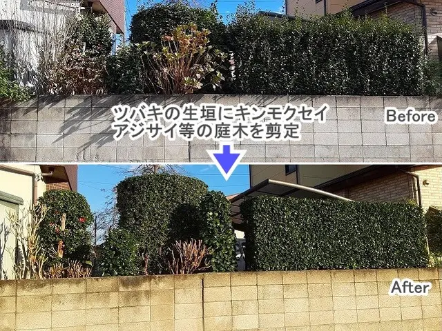 ★丁寧な仕事で安心！【３連続入賞店★口コミ好評】◆高崎の植木屋★空き日1/10～サービスの画像