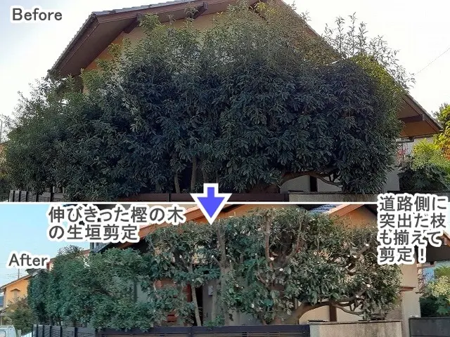 ★丁寧な仕事で安心！【３連続入賞店★口コミ好評】◆高崎の植木屋★空き日1/10～サービスの画像