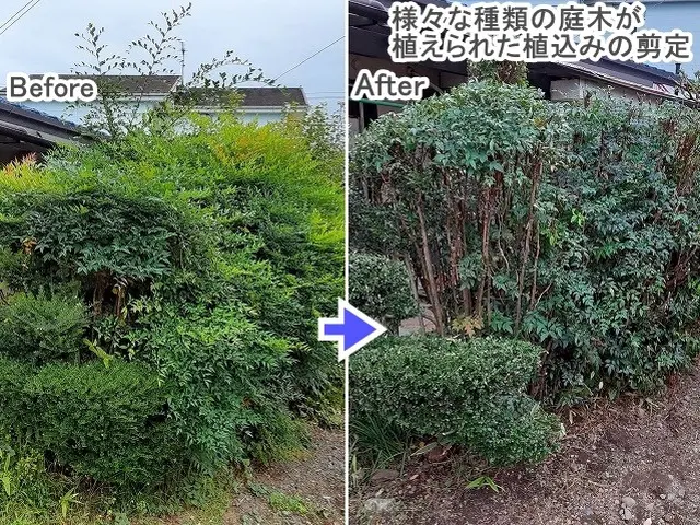 ★丁寧な仕事で安心！【３連続入賞店★口コミ好評】◆高崎の植木屋★空き日1/10～サービスの画像